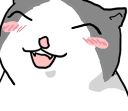 sorry catie cat sticker #11509376