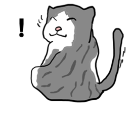 sorry catie cat sticker #11509377