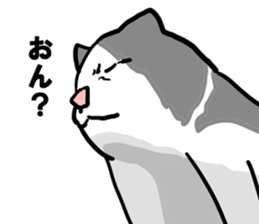 sorry catie cat sticker #11509379