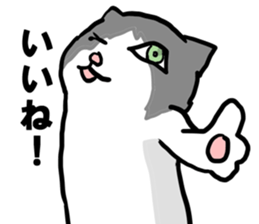 sorry catie cat sticker #11509380