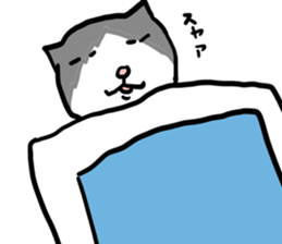 sorry catie cat sticker #11509381