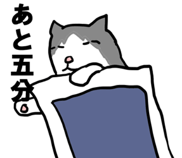sorry catie cat sticker #11509382