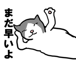 sorry catie cat sticker #11509383
