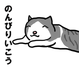 sorry catie cat sticker #11509384
