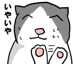 sorry catie cat sticker #11509385