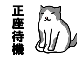 sorry catie cat sticker #11509386