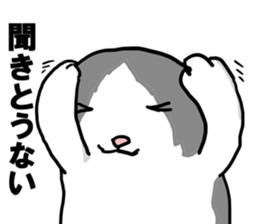 sorry catie cat sticker #11509387