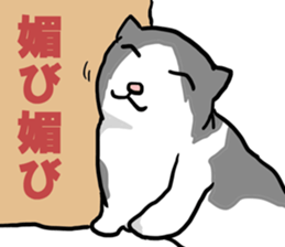 sorry catie cat sticker #11509388
