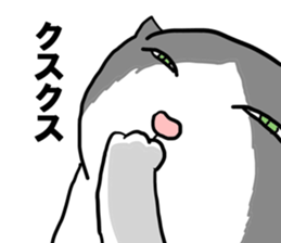 sorry catie cat sticker #11509389