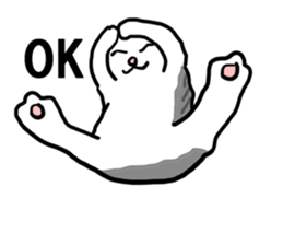 sorry catie cat sticker #11509391