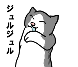 sorry catie cat sticker #11509392