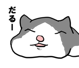 sorry catie cat sticker #11509393