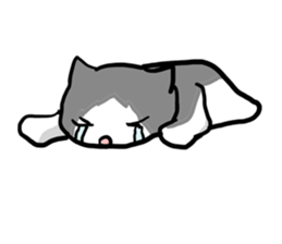 sorry catie cat sticker #11509394
