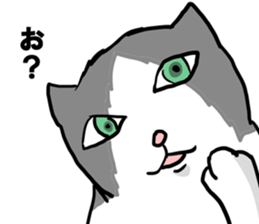 sorry catie cat sticker #11509395