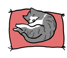sorry catie cat sticker #11509396