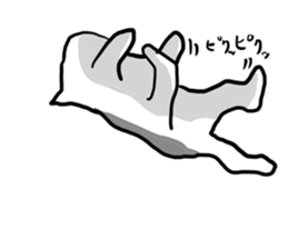 sorry catie cat sticker #11509398