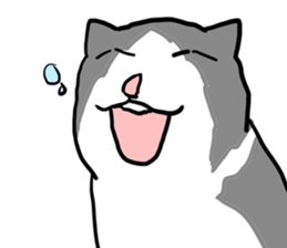 sorry catie cat sticker #11509399