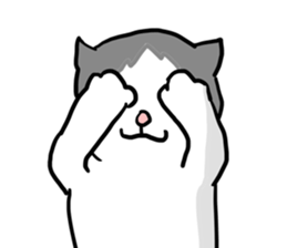 sorry catie cat sticker #11509400