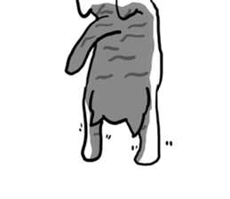 sorry catie cat sticker #11509401