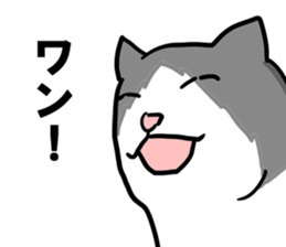 sorry catie cat sticker #11509402