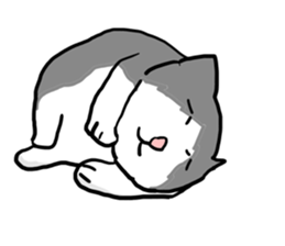 sorry catie cat sticker #11509403