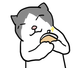 sorry catie cat sticker #11509404
