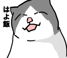 sorry catie cat sticker #11509406