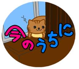 SUKIMA-NEKO sticker #11510469