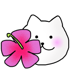 The cat which can be used in summer