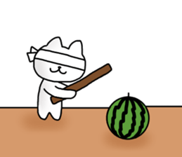 The cat which can be used in summer sticker #11510683