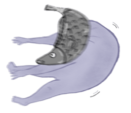 General Dolphin sticker #11513222