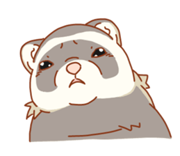 Flexible Ferret sticker #11513289