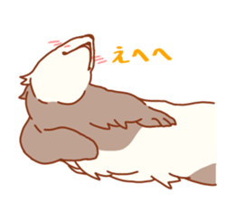Flexible Ferret sticker #11513290