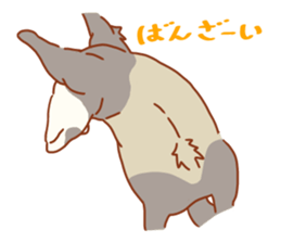 Flexible Ferret sticker #11513291