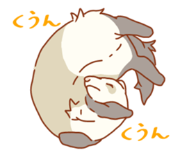 Flexible Ferret sticker #11513302