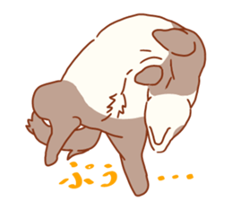 Flexible Ferret sticker #11513304