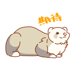Flexible Ferret sticker #11513310