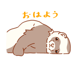 Flexible Ferret sticker #11513314