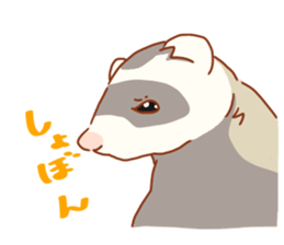 Flexible Ferret sticker #11513318