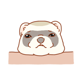 Flexible Ferret sticker #11513322