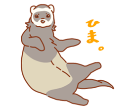 Flexible Ferret sticker #11513324
