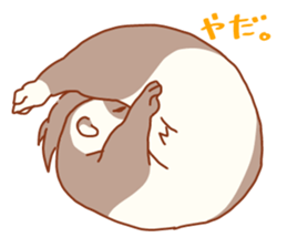 Flexible Ferret sticker #11513333