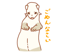 Flexible Ferret sticker #11513339