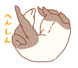 Flexible Ferret sticker #11513341