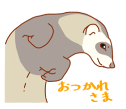 Flexible Ferret sticker #11513357