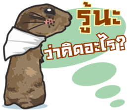 Prairie D.1 sticker #11514748