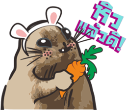 Prairie D.1 sticker #11514753