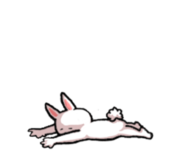 Om nom nom nom rabbit sticker. sticker #11515358