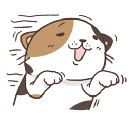 Cats are all around sticker #11519499