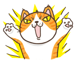 Cats are all around sticker #11519504